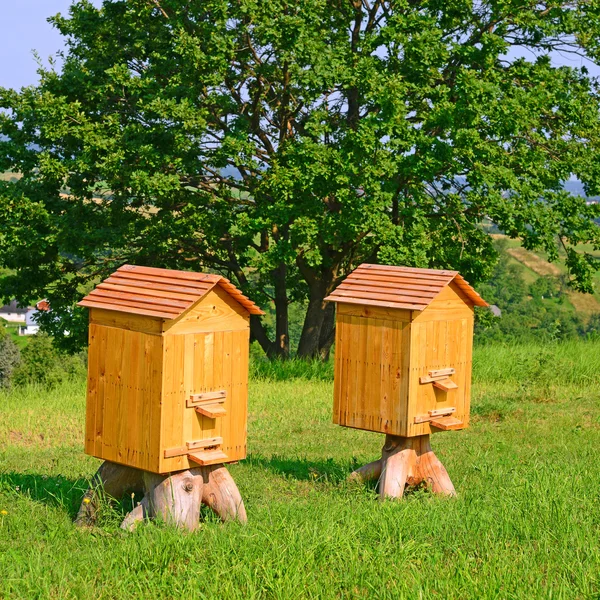 Alveare nel paesaggio estivo — Foto Stock