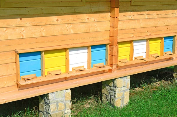 Bee hive in het landschap van de zomer — Stockfoto