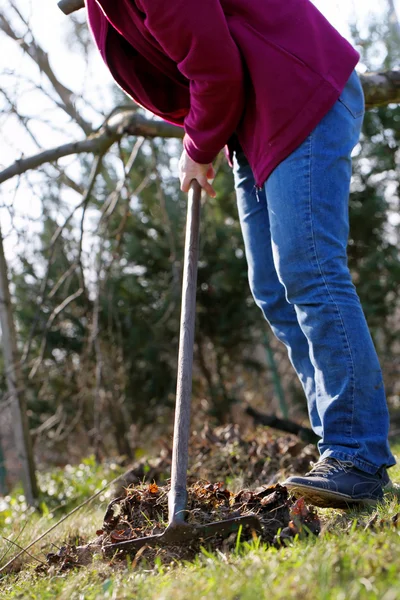 Mulher limpa o jardim no início da primavera — Fotografia de Stock