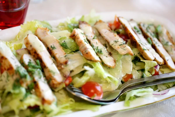 Gyros grecs avec tzatziki et salade — Photo
