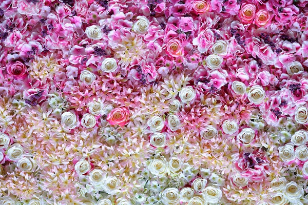 Hermosas flores fondo de pared — Foto de Stock