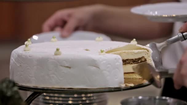 White wedding cake with serves on wedding party — Stock Video
