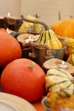 Cadılar Bayramı sonbahar kabaklar ahşap masa üzerinde SAP ile
