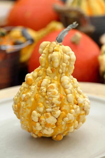 Calabazas de otoño de Halloween con tallos en la mesa de madera —  Fotos de Stock