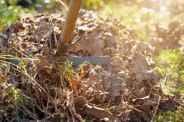 Pilha Folhas Secas Grama Raking Para Limpeza Primavera Espaço Vazio — Fotografia de Stock