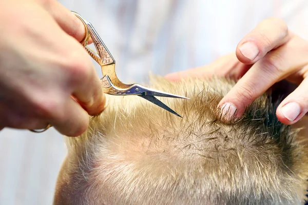 Hairdresser trimming blonde hair of young boy by scissors — Stock Photo, Image