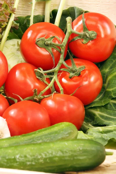 Tomate fresco em uma caixa de madeira — Fotografia de Stock