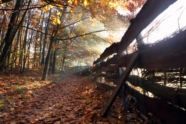 Paysage d'automne avec clôture en bois — Photo