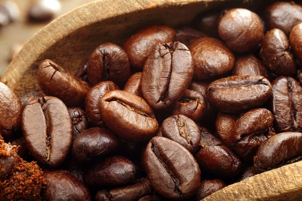 Estúdio macro grãos de café em colher de madeira no fundo marrom — Fotografia de Stock