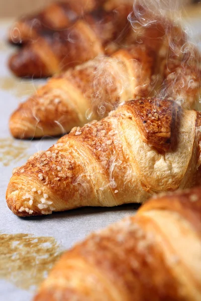 Verse croissants uit de oven gehaald — Stockfoto