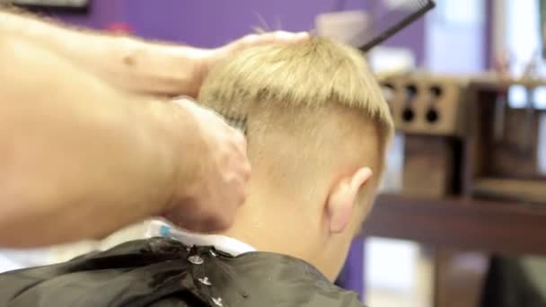 Cabeleireiro corte de cabelo por aparador elétrico — Vídeo de Stock