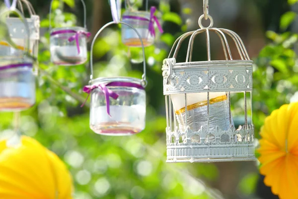 Decoración de fiesta de jardín colgando en rama — Foto de Stock