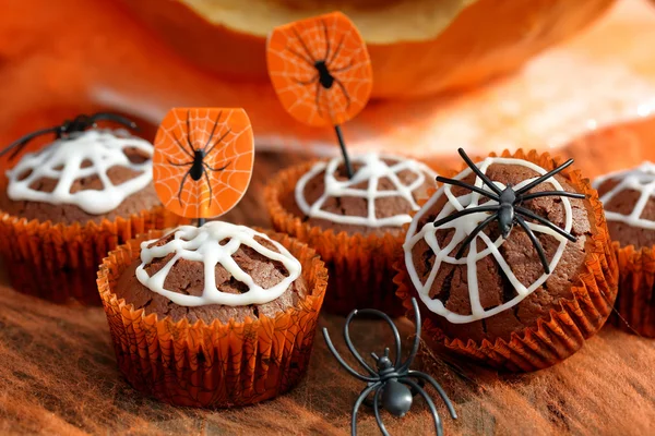 Chocolate muffin cake with spider web on Halloween day Royalty Free Stock Images