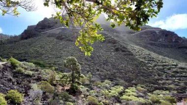 İspanya 'nın Kanarya Adaları' ndaki Tenerife Adası yakınlarındaki Chio kasabasının panoramik manzarası.