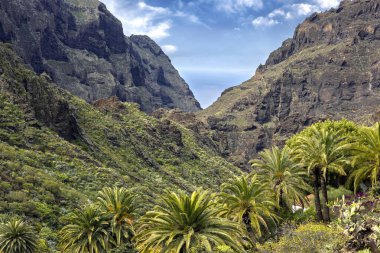 Masca Gorge (Barranco de Masca) İspanya 'nın Kanarya Adaları, Tenerife' nin kuzeybatısındaki görkemli vadi ve köyün panoramik görüntüsü