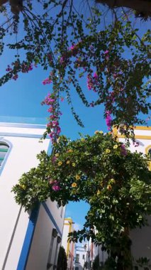 Porto de Mogan, Gran Canaria, Kanarya Adaları, İspanya 'da güzel binaların ve begonvillerin dikey manzarası.