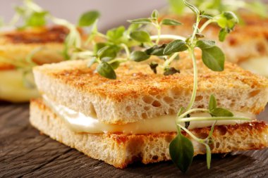 Taze ekmek peynir ve otlar ile