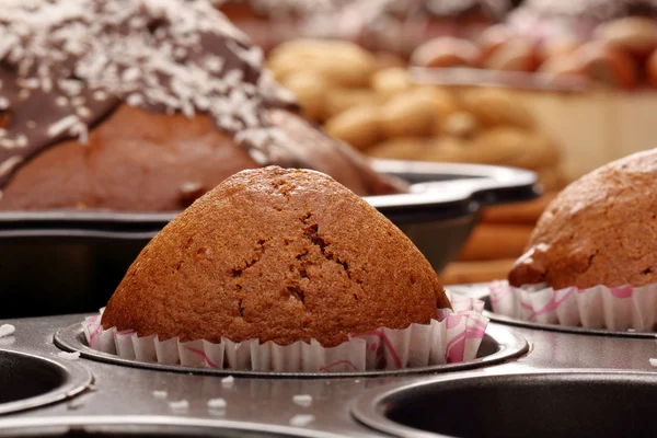 Muffin cokelat di cetakan — Stok Foto