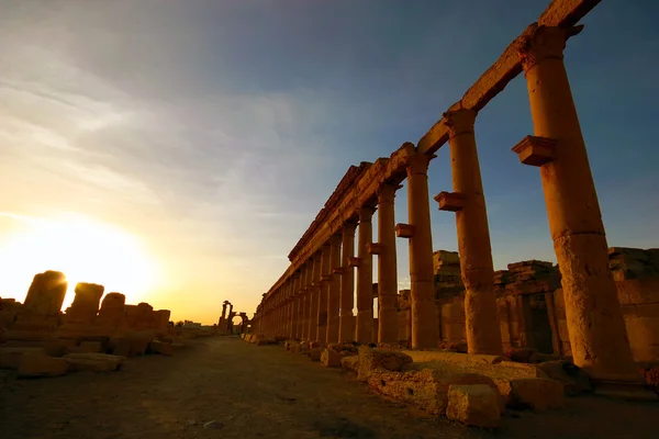 Pamyra ruins at sunrise — Stock Photo, Image