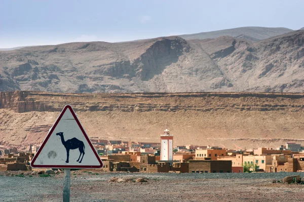 Wielbłąd znak ostrzegawczy w Maroko — Zdjęcie stockowe