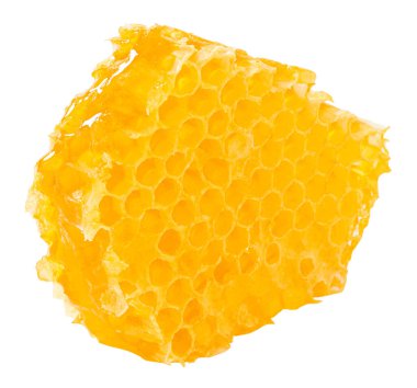 Beyaz arka planda izole edilmiş balkabağı. Kesme Yolu.