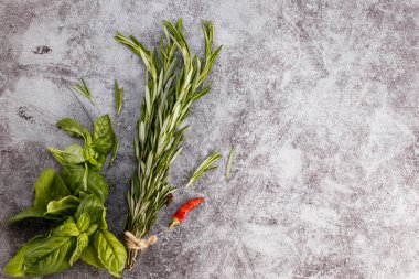 Biberiye ve fesleğen ve fotokopi alanı. Üst görünüm.