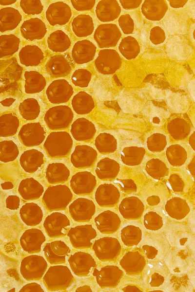 Achtergrond Textuur Patroon Van Een Deel Van Honingraat Met Honing Stockfoto