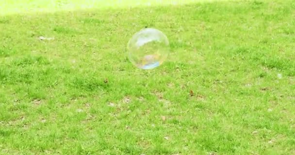 Zeepbel Stijgt Lucht Hond Speelt Het Gras Slow Motion — Stockvideo