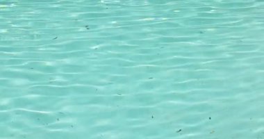 Havuz manzarasında kirli su. Yavaş çekim.