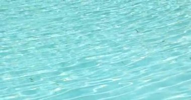 Havuz manzarasında kirli su. Yavaş çekim.