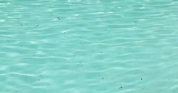 游泳池顶部的脏水 慢动作 — 图库视频影像