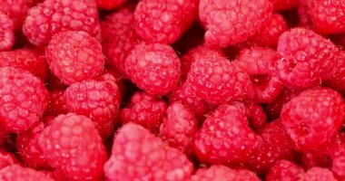 Ahududu dönüşümlü. Taze böğürtlenler. Süper yavaş çekim.