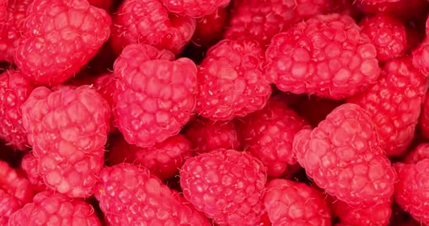 Zmeura Rotește Fresh Berries Închide Super Slow Motion — Videoclip de stoc