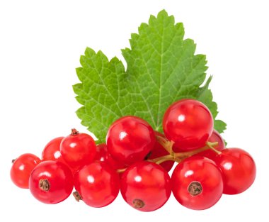 Beyaz arkaplanda kırmızı frenk üzümü izole edildi.