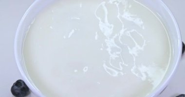 Yoğurdun içine düşen yabanmersini. Böğürtlenli beyaz yoğurt. Süper yavaş çekim.