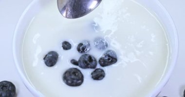 Kaşıklı taze meyveli yoğurt. Yabanmersinli beyaz yoğurt. Süper yavaş çekim.