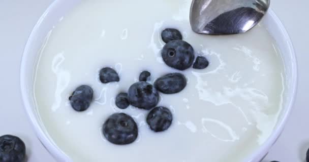 Yogurt Berry Segar Dengan Sendok Yogurt Putih Dengan Blueberry Gerakan — Stok Video