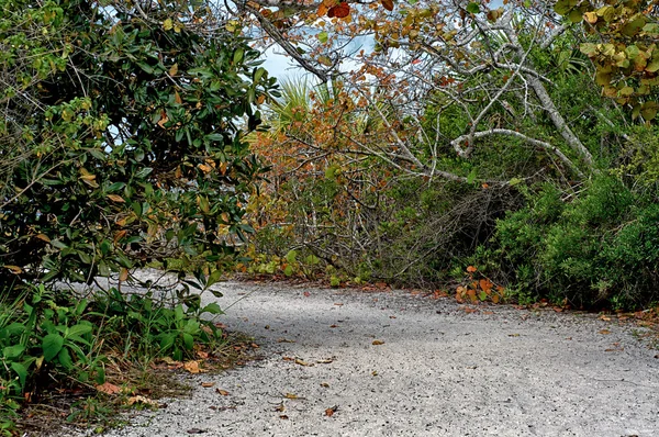 Sand pathway at barefoot beach — Stock Photo, Image