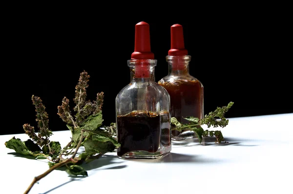 Δύο γυάλινα μπουκάλια με φυτικά εκχυλίσματα και αποξηραμένα πατσουλί floew — Φωτογραφία Αρχείου