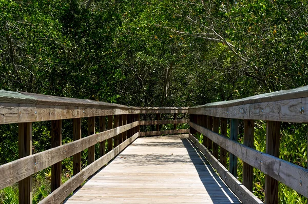 Low view of wooden boardwalk in florida — Stock Photo, Image