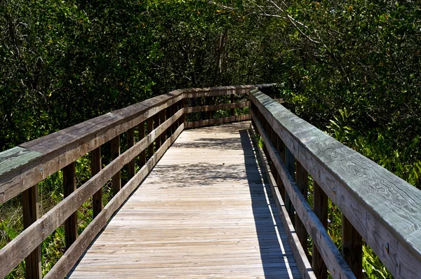 Railed wooden boardwalk in florida — Stock Photo, Image