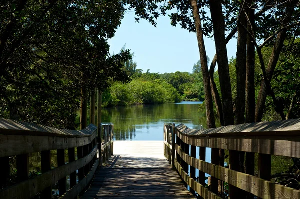 View of river from boardwalk pier — Stock Photo, Image