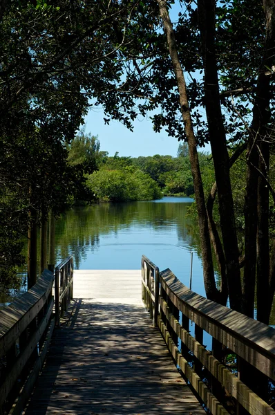 View of river pier through trees — Stock Photo, Image