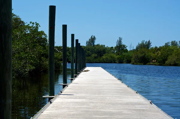 Långa bryggan på floden i florida — Stockfoto