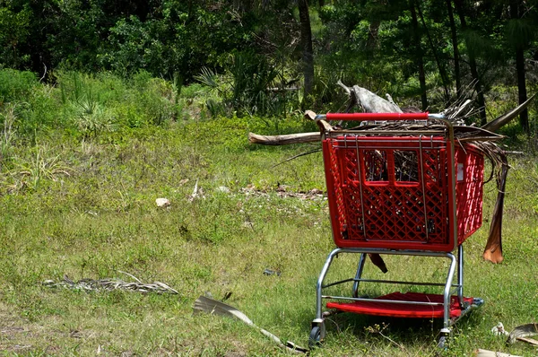 Carrito de compras de supermercado en el desierto — Foto de Stock