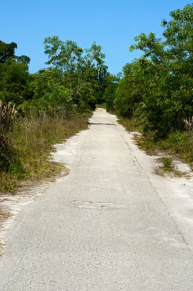 Long straight abandoned road — Stock Photo, Image