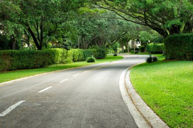 güzel hedge eğri yol astarlı