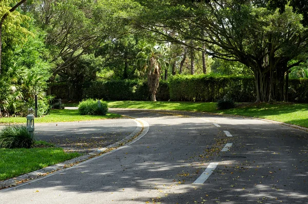 Beautifully curving tree lined road — Stock Photo, Image