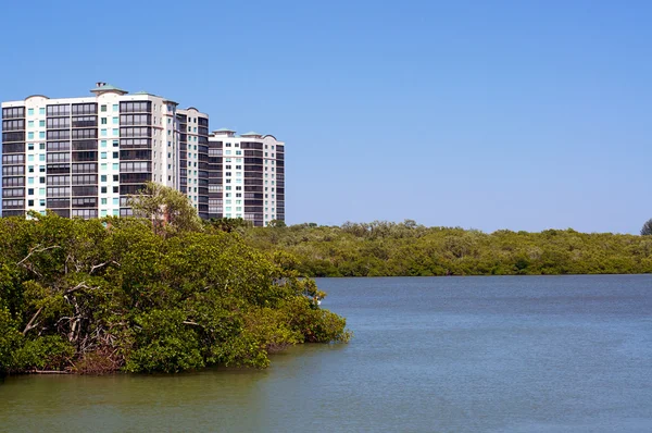 Immeubles sur la côte de la Floride — Photo