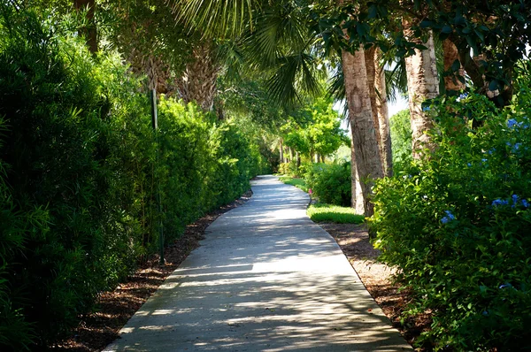 Tree lined manicured bike path — Stock Photo, Image